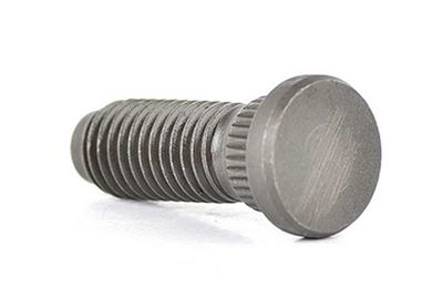 Wielbout BSG30230016