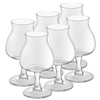 6x Speciaal bierglazen/tulpglazen transparant 260 ml Lund