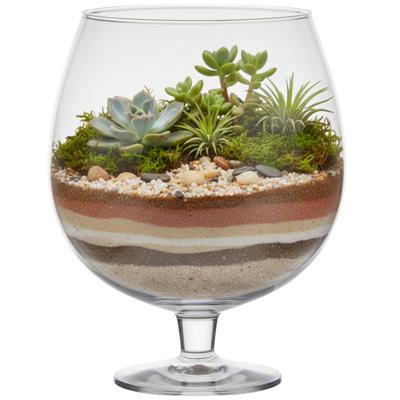 Hakbijl Glass luxe stijlvolle Brandy vaas van glas - 10 Liter - D30 x H38 cm - Bloemen/Terrarium