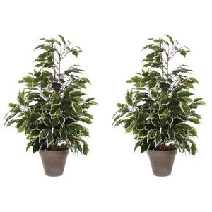 2x Groen/witte tropische ficus kunstplanten 65 cm voor binnen