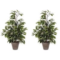 2x Groen/witte tropische ficus kunstplanten 65 cm voor binnen - thumbnail