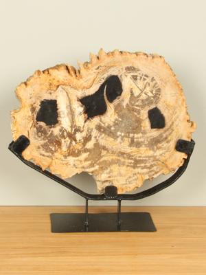 Schijf fossiel hout op standaard nr. 10