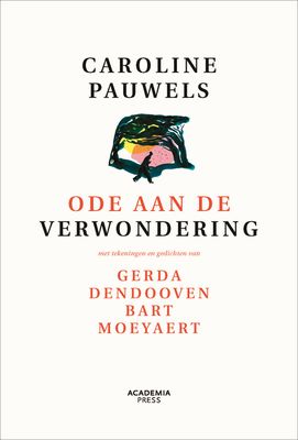 Ode aan de verwondering - Caroline Pauwels - ebook