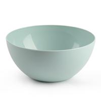 Plasticforte kommetjes - dessert/ontbijt - kunststof - D17 x H8 cm - mintgroen - BPA vrij - schaaltj