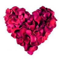 500 luxe bordeaux donkerrode rozenblaadjes van stof - thumbnail