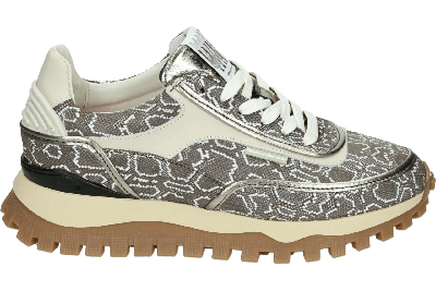 Floris van Bommel GROMMI 02.13 - alle