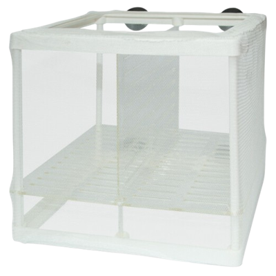 Superfish Kweeknetje