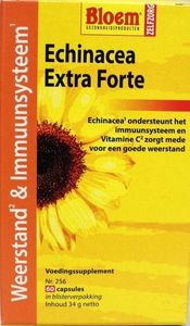 Echinacea