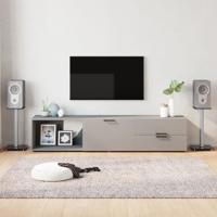 VidaXL Luidsprekerstandaards 2 st 1 pijler gehard glas zwart en zilver