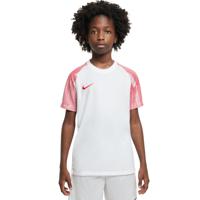 Nike Dri-Fit Academy Trainingsshirt Kids Wit Rood - thumbnail