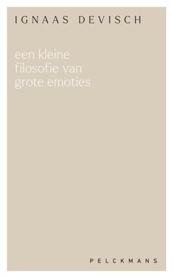 Een kleine filosofie van grote emoties - Ignaas Devisch - ebook