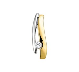 TFT Hanger Bicolor Goud Diamant 0.051ct H SI