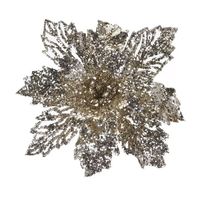 Bloem Steker 21 cm Champagne - Nampook