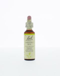 Bach Chestnut bud/kastanjeknop