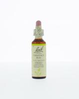 Bach Chestnut bud/kastanjeknop
