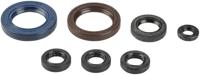 ATHENA motor-keerring set motorshield sx/exc 400-520/450-525