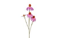 Decostar Echinacea 77 cm paars