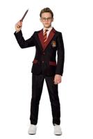 Gryffindor Verkleedkostuum Harry Potter Kind