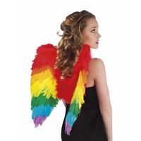 Regenboog veren verkleed vleugeltjes 50 cm