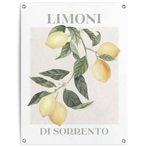 Reinders - Limoni - Tuinposter 80x60cm