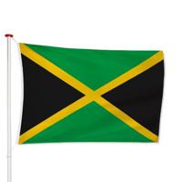 Jamaicaanse Vlag - thumbnail