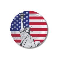 10x stuks USA/Verenigde Staten kartonnen party bordjes - thumbnail