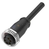 BALLUFF BCC06HF Sensor/actuator aansluitkabel 1 stuk(s)