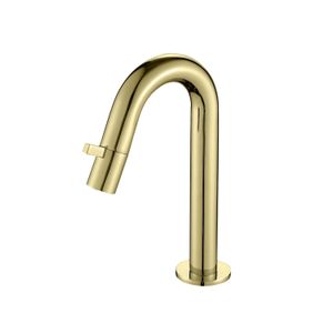 Best Design Toiletkraan Nancy 1-draaiknop Gebogen 21 cm Mat Goud