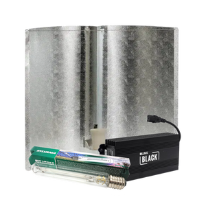 Sylvania Lumii Black + Azerwing Medium + Sylvania Grolux 600 Watt