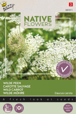 Zaden carota, wilde peen 0,1 gram - Buzzy