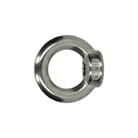pgb-Europe PGB-FASTENERS | Oogmoer A2 DIN 582 M10 | 25 st 000582A0001003