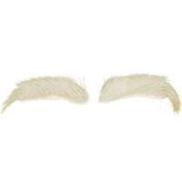 Sinterklaas verkleed wenkbrauwen - 1x - Yakhaar - wit - luxe Sint kostuum accessoires