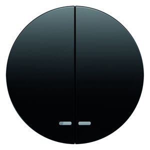 Berker wip serieschakelaar met lens R1-R3 zwart 16272045