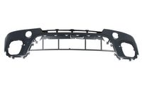 Bumper 5510000096905P