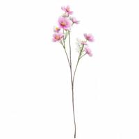 Countryfield kunstbloem cosmos donkerpaars 105 cm | 12 stuks