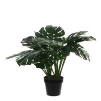 Mica Decorations Monstera Kunstplant H60 cm