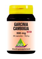 Garcinia cambogia 500mg puur - thumbnail