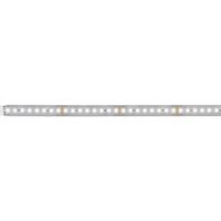 Paulmann MaxLED 1000 71250 LED-strip 24 V/DC 1 m Neutraalwit 1 stuk(s)