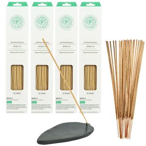 Wierook Aromatherapy Focus 100 stokjes incl. Speksteen Wierookhouder