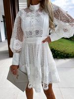 Casual Lace Dress With No