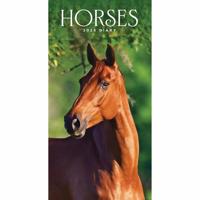 Paarden Slim Agenda 2026