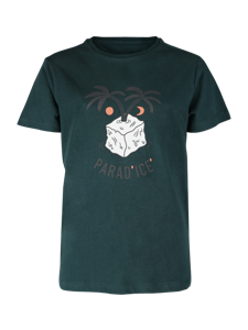 Brunotti Artisty-Nico T-shirt