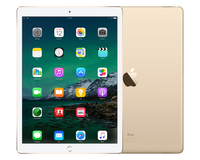 Refurbished iPad Pro 12.9 inch 128 GB (2018) Goud Zichtbaar gebruikt - thumbnail