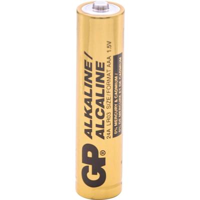 GP GPIND24AB AAA batterij (potlood) Alkaline 1.5 V 1000 stuk(s)