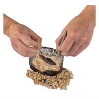Boti National geographic dinosaurus graaf set