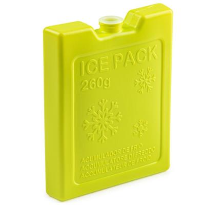 Plasticforte Koelelementen - 260 grams - 13 x 10 cm - groen - kunststof