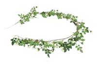 Kunstguirlande Rosa Bonica wit - Countryfield