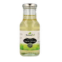 Agavesiroop bio 250 Milliliter