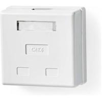 Netwerk Wanddoos | Opbouw | 2 poort(en) | UTP CAT6 | Recht | Female | Goud Verguld | PVC | Wit | Doo