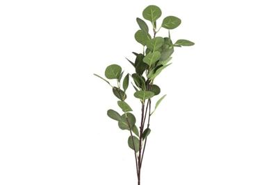 Countryfield Eucalyptus 90 cm groen